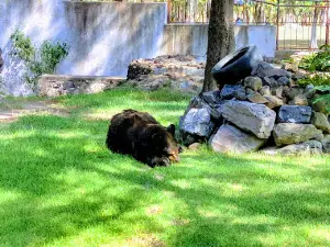 Parque Zoológico Moroleón