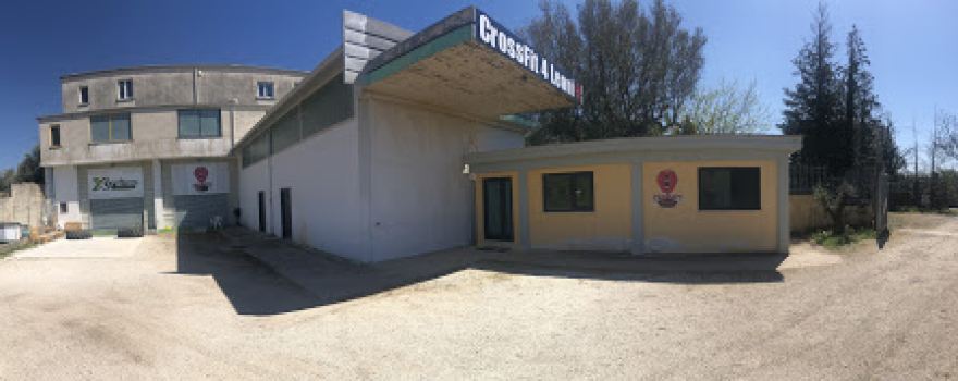 CrossFit 4 Leoni