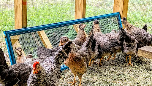 Omega Hills Farm