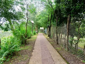 ঝড়খালি উদ্যান Jharkhali Park