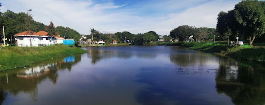 Artificial Lake Ophelia Borges Silva Alves