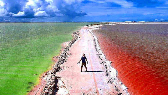 Guia Naturalista William Canto