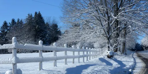 St. Johns Conservation Area