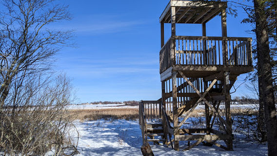 Fullerton's Creek Conservation Park