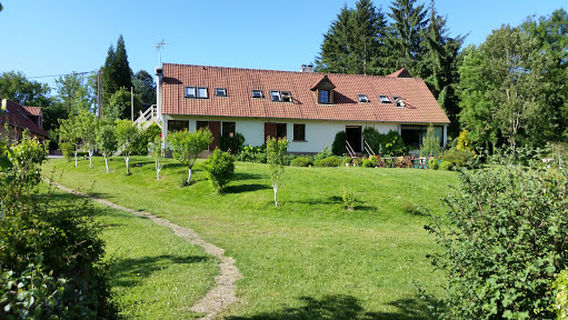 Desvres Forest