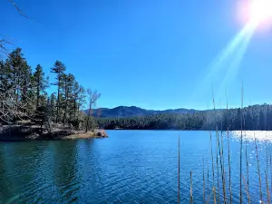 Lynx Lake