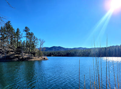 Lynx Lake