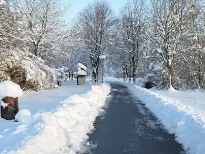 Osterhofen Park