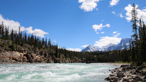 Rocky Mountain River Guides Ltd