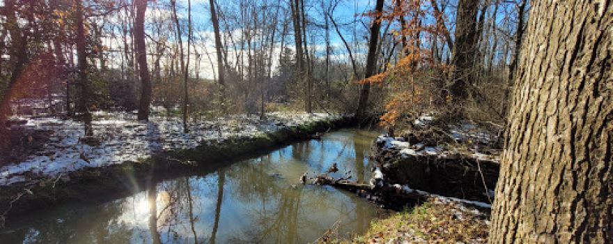 Fox Mill Daretown Lake