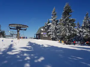 Sports area Harrachov, Inc.