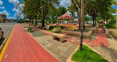 Municipal Pedro Sánchez Park