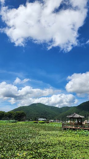 Sangni Lotus Park