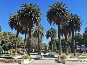 Plaza De Armas de Parral