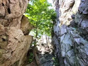 The Crack