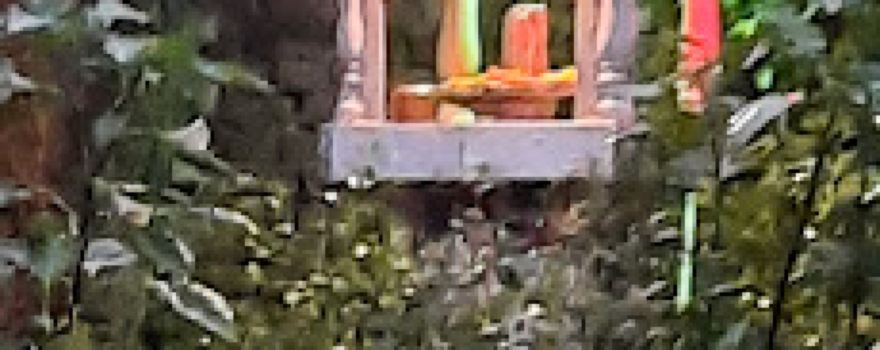 shivji mandir natauwa