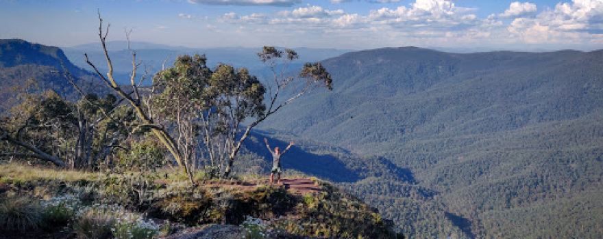 Dimmicks Lookout