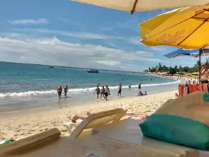 Red Crown Beach Santa Cruz Cabrália