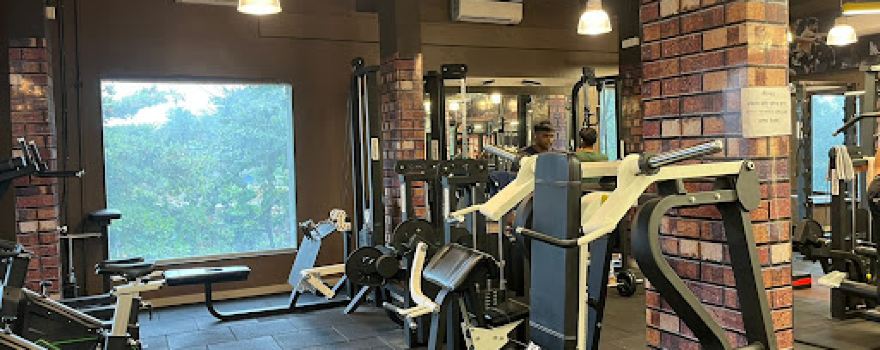 The wellness club