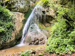 Cheile Crivadiei