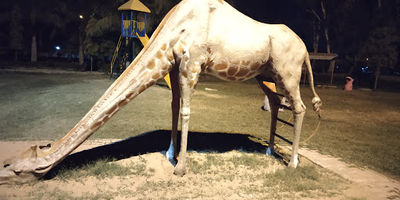 Maitri Park