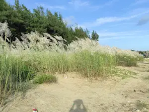 Boguran Jalpai Sea Beach