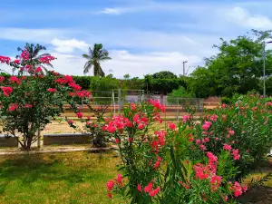 Praça Baco-Pari