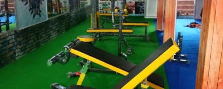 Arnold Gym & Fitness Centre For Boys & Girls