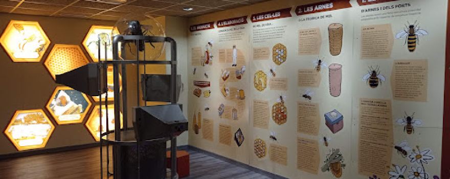 Museu De La Mel D'Arnes
