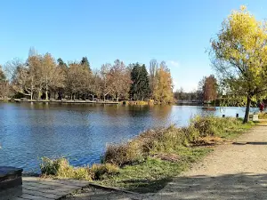 Tófürdő