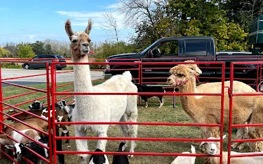 M&T's Gibbsville Orchard
