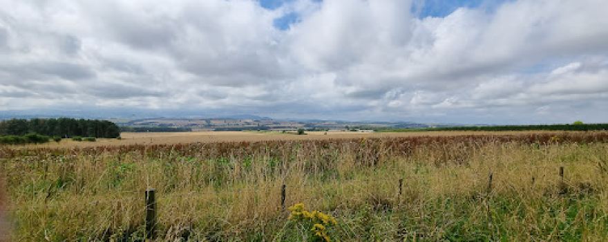 The Chatton Gallery