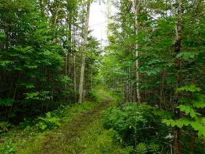 Indian Lake Campground