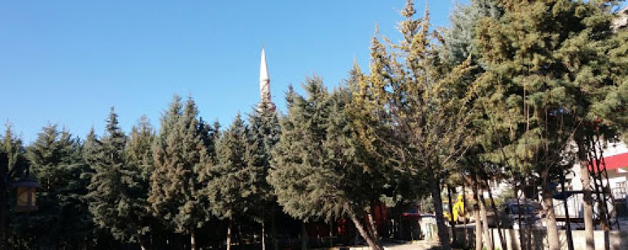 Hazreti Hamza Cami