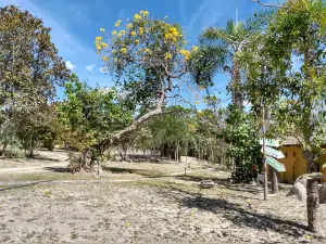 Santuário Ecológico Poço do Sucuri