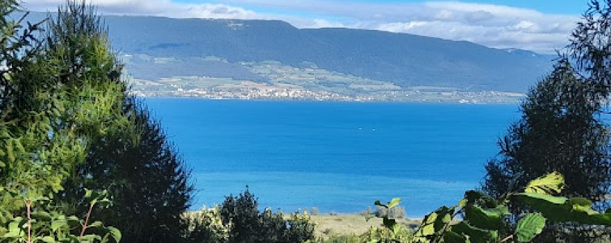 Point de vue
