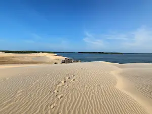 Area Environmental Protection Delta of