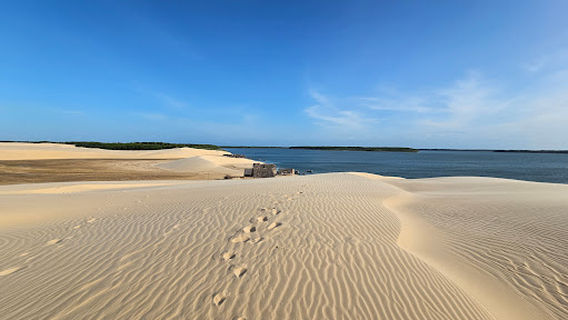 Area Environmental Protection Delta of