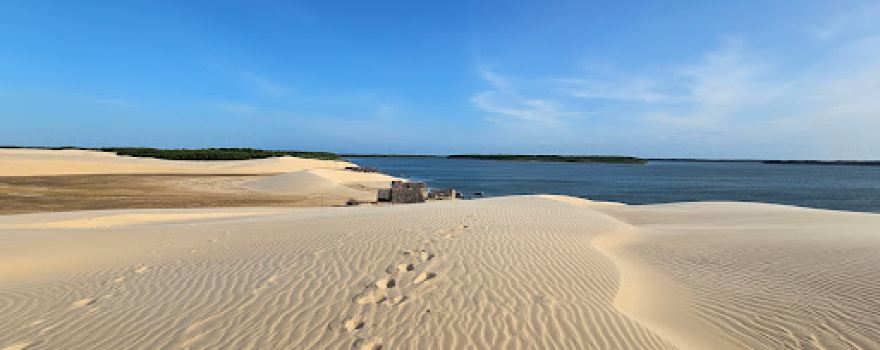 Area Environmental Protection Delta of
