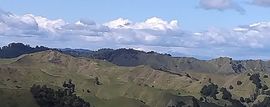 Tahora Saddle