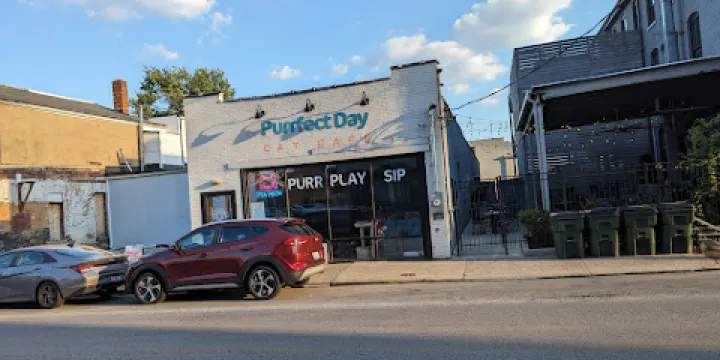 Purrfect Day Cafe Covington