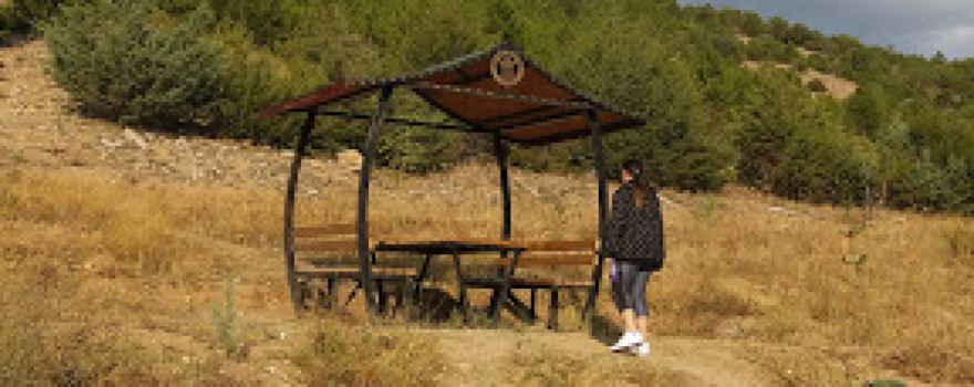 Bagirsakdere Bogazi