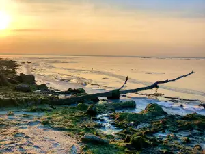 Kyiv Sea