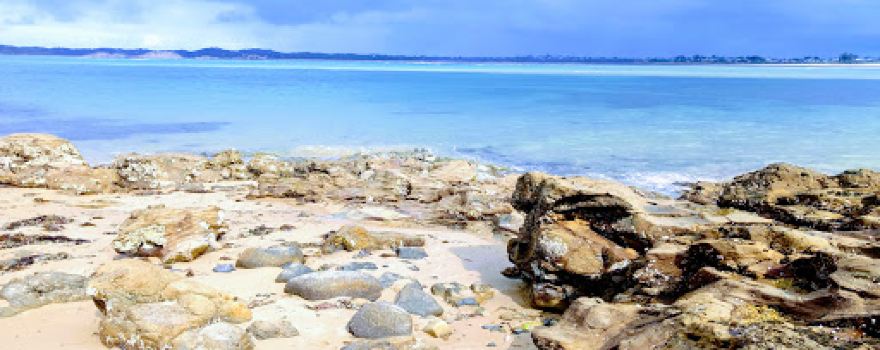 Dog Friendly Beach - San Remo