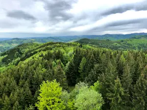 Dambergwarte