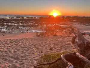 Rocky beach