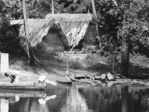 Saramacca River