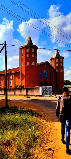 Mwanza to Mpanda Flights