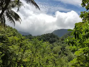 Syndicate Falls Dominica