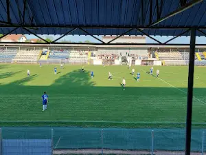 Stadionul Tineretului